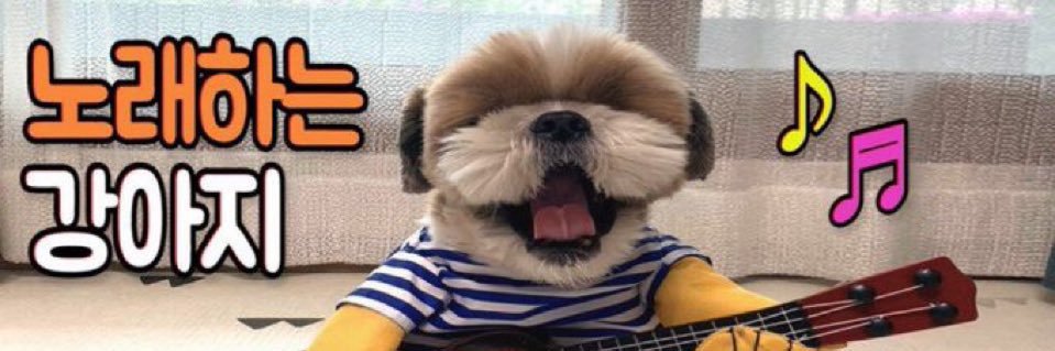 엉덩이's banner