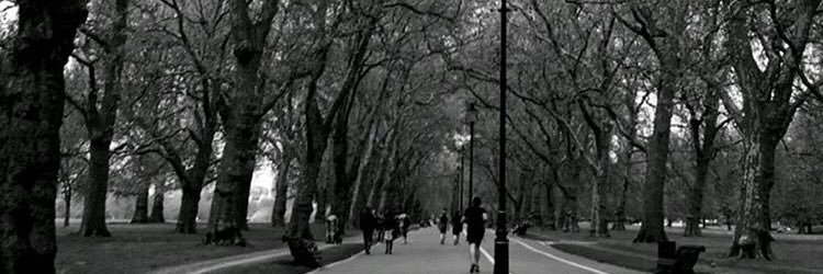 shza_Ibrahim's profile banner image