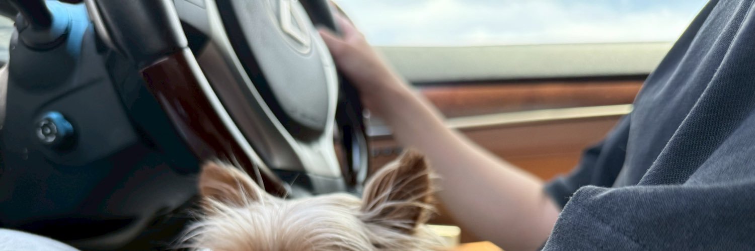 BEN-チャート分析 banner