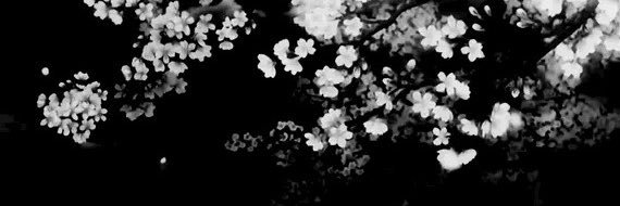 swtnrhypernova's profile banner image