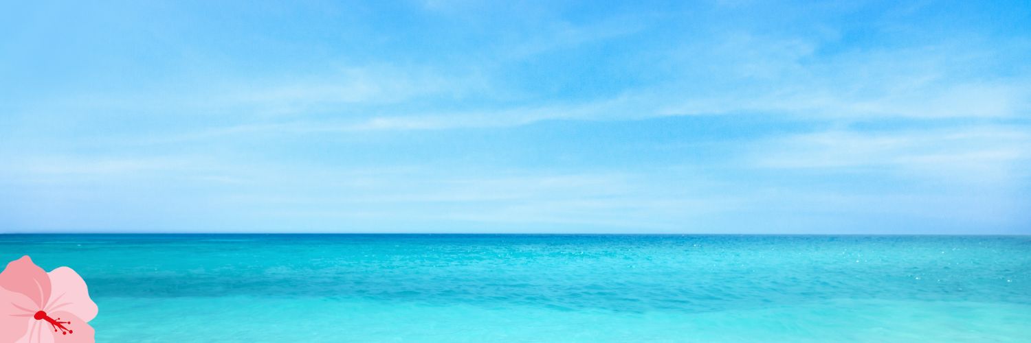 lisadaily's profile banner image