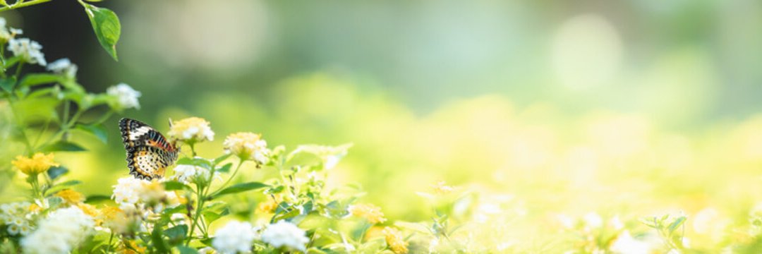Emilee Alston banner