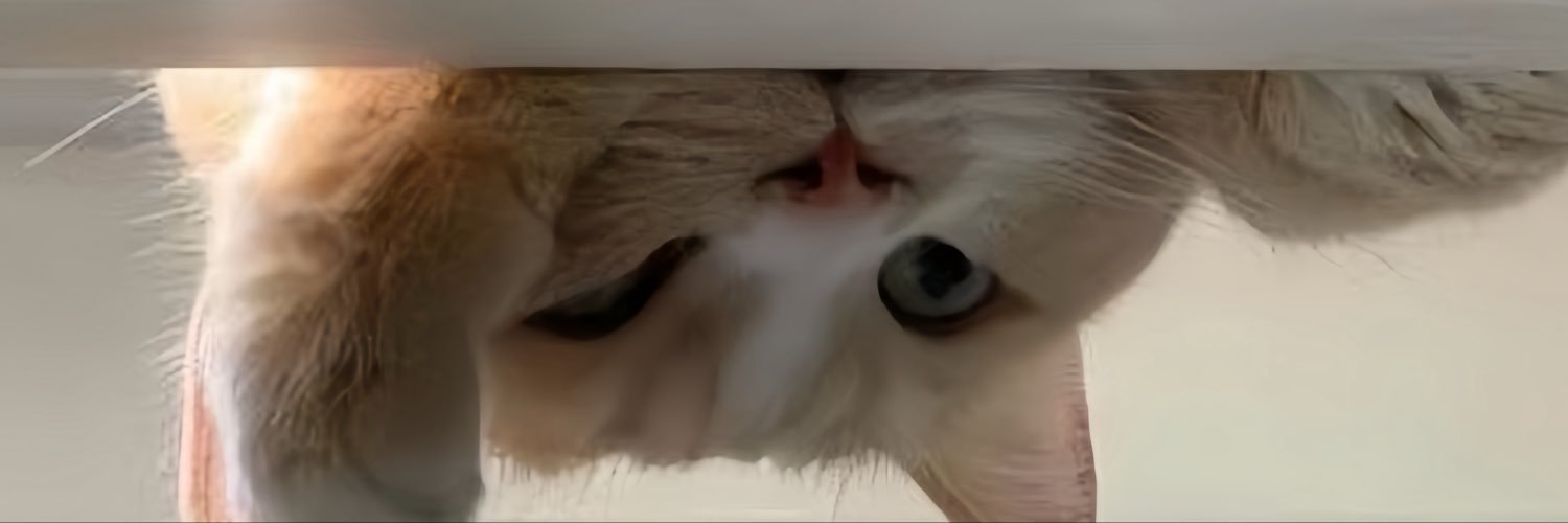 0absbl's profile banner image