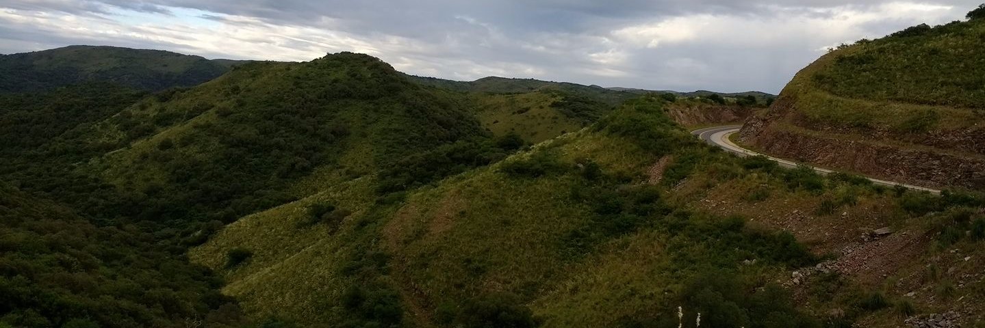 msburrone's profile banner image