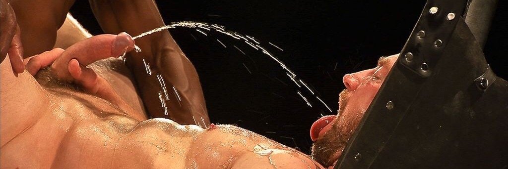 domoerectus's profile banner image