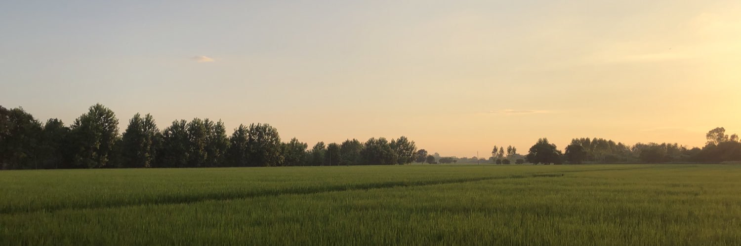 gpsbrar's profile banner image