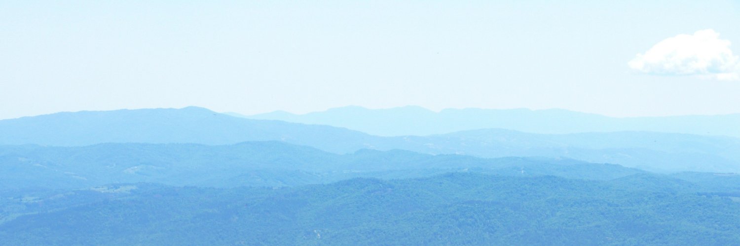 Oscar Contender banner