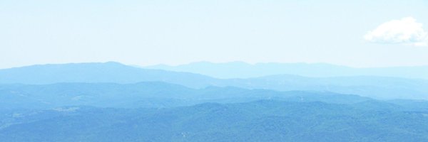 OscarContenderr Profile Banner