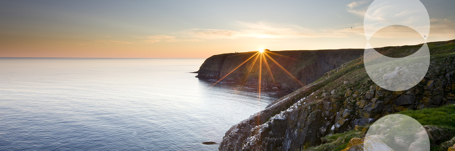 Signal49 Research banner