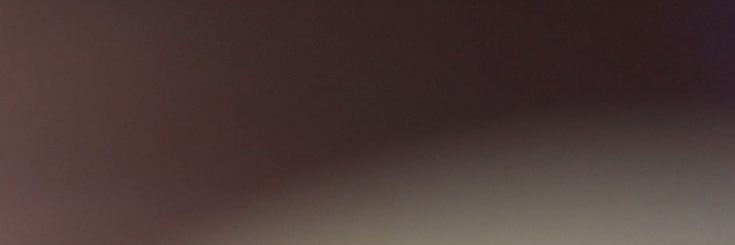 eda's banner