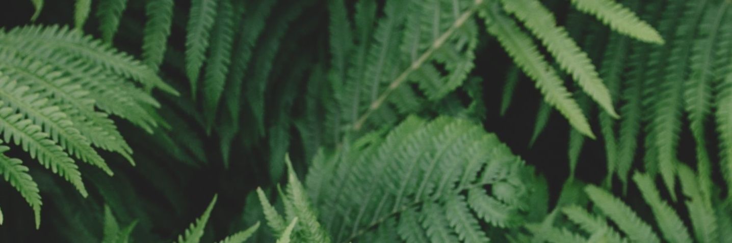 anaysb's profile banner image