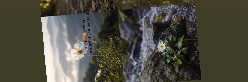 DayaneLeo1's profile banner image