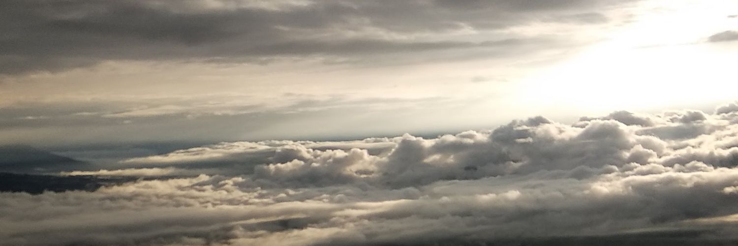 Paul Burbano banner
