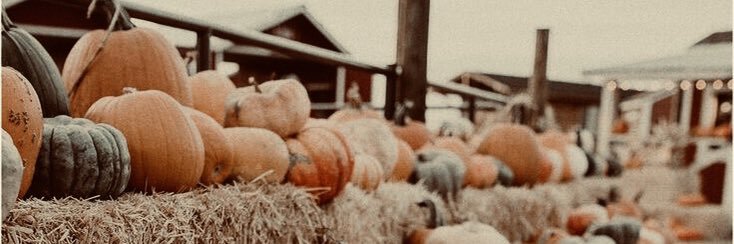 KaytRoat's profile banner image