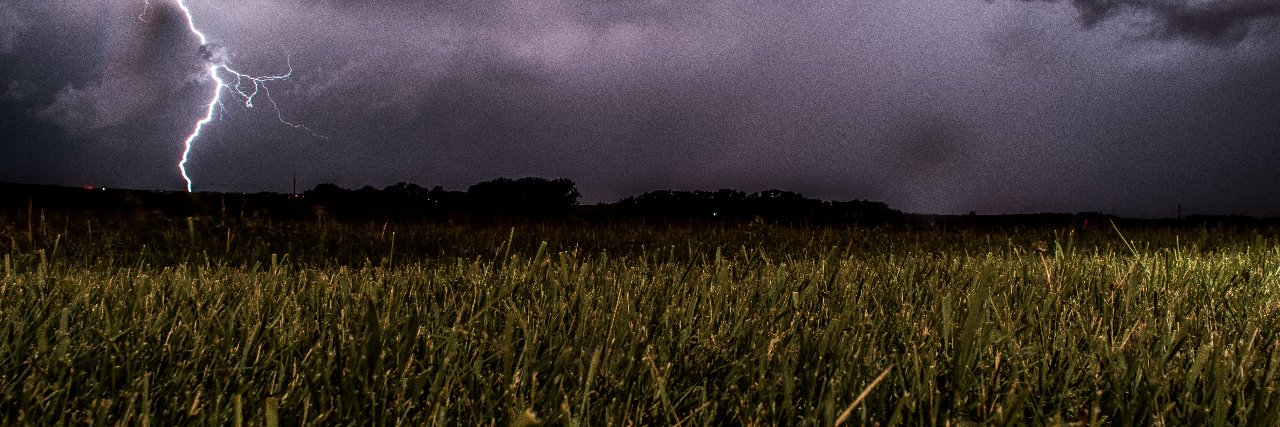 Ron Phillips (Bad Fido) banner