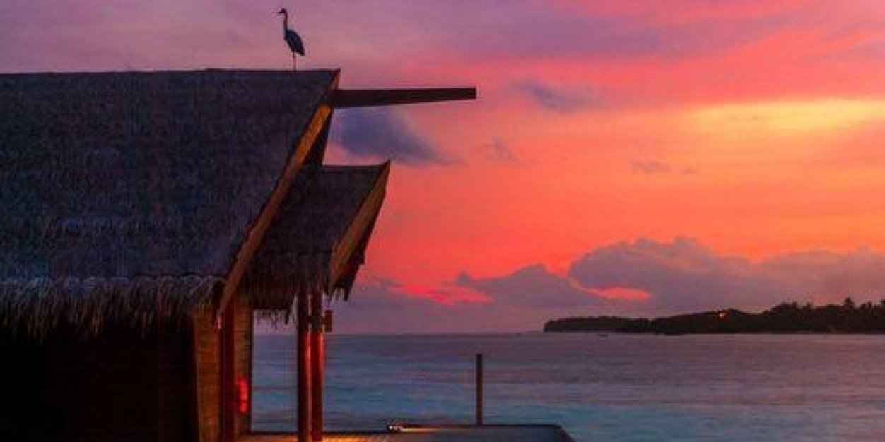 CCSantos🇧🇷 banner