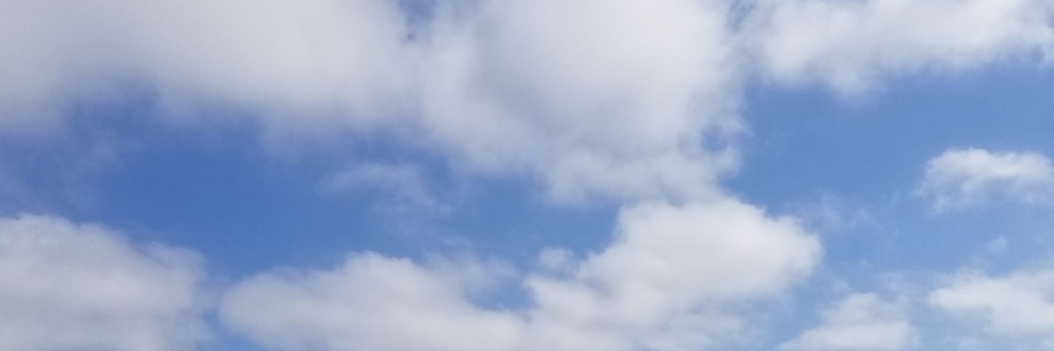 Andrea Ramirez banner
