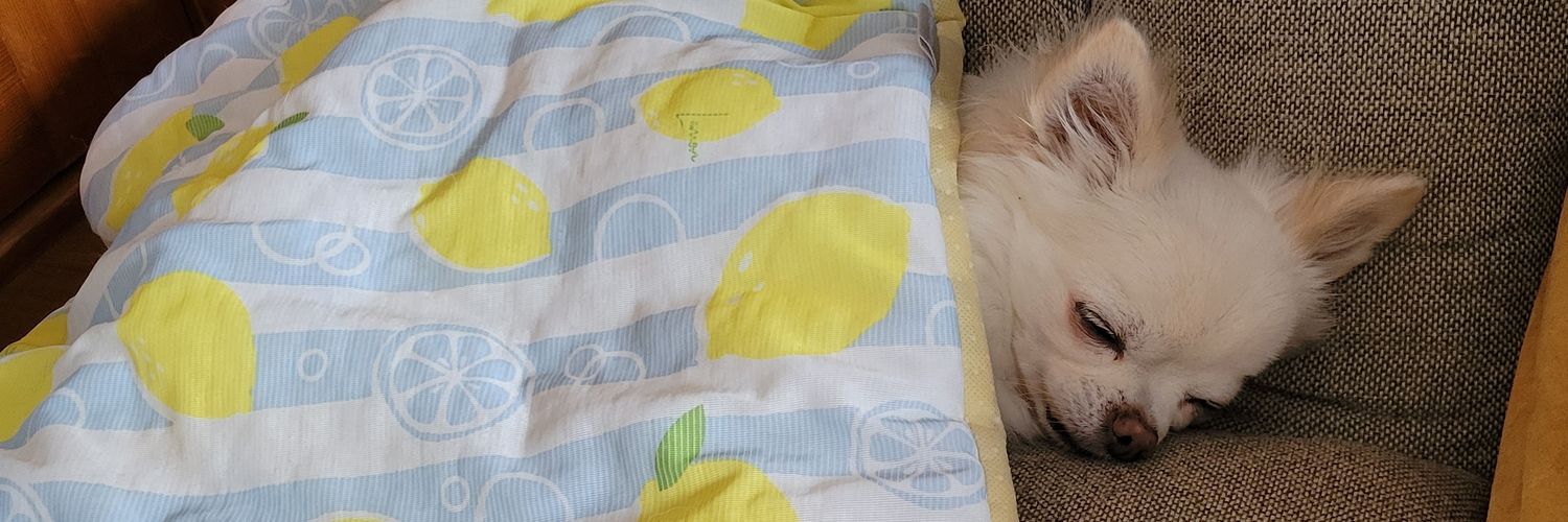ちわにな banner