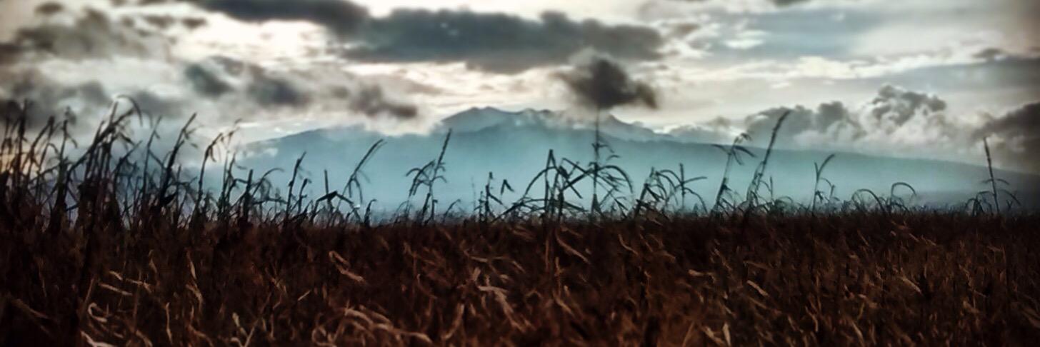 halyor's profile banner image