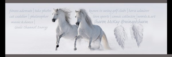 WingedCharm Profile Banner