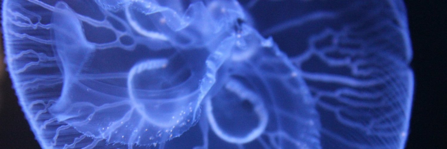 LWorleyOfficial's profile banner image