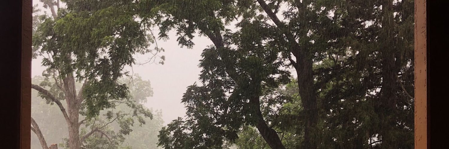 Katyarrenas's profile banner image
