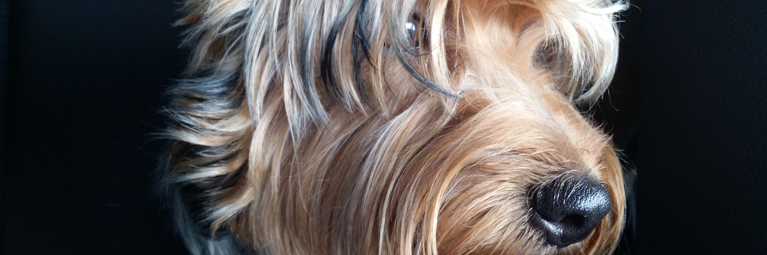 Wenlo_'s profile banner image