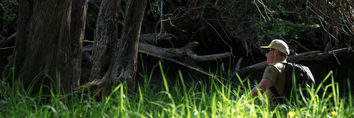 iheartthefly's profile banner image