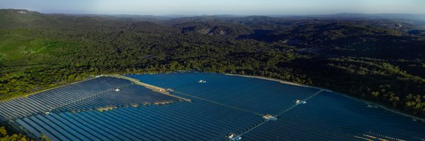 Pirateshredder Profile Banner