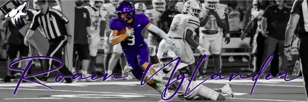 RoaenNylander Profile Banner