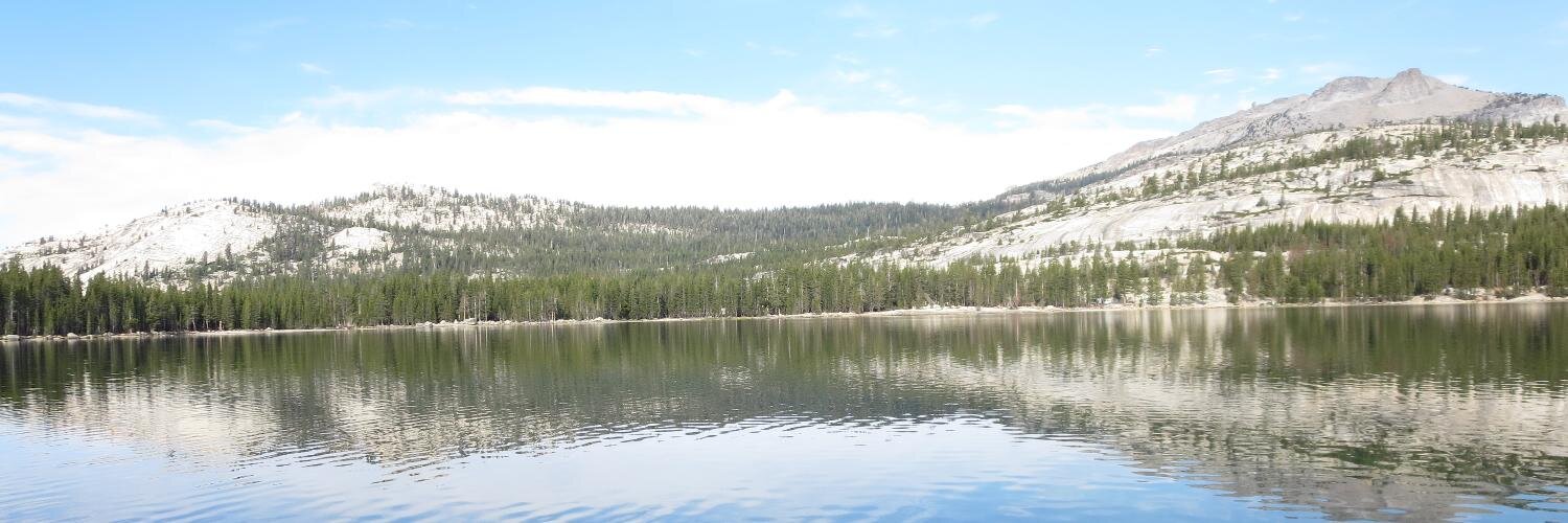 Sean MacAvaney banner