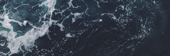 🐳 Mozzy banner
