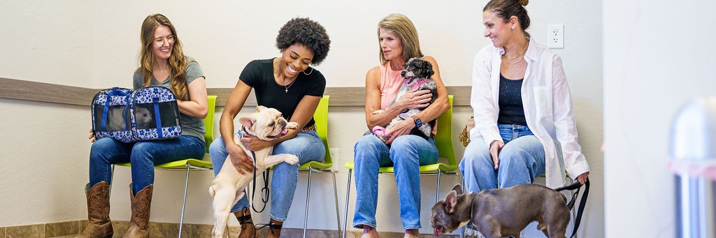 Dr. Kelly's Surgical Unit banner