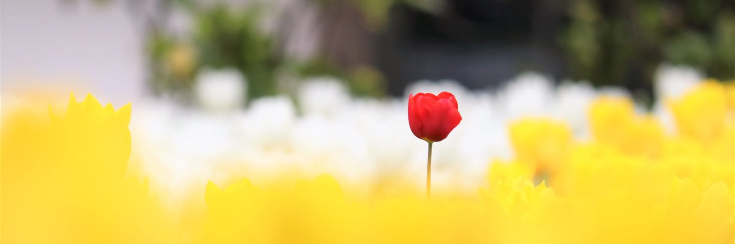 막 잘 살고 싶은..아싸~🕯 banner