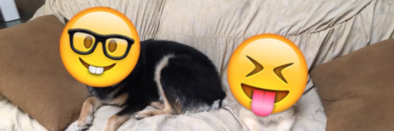 xudave12's profile banner image