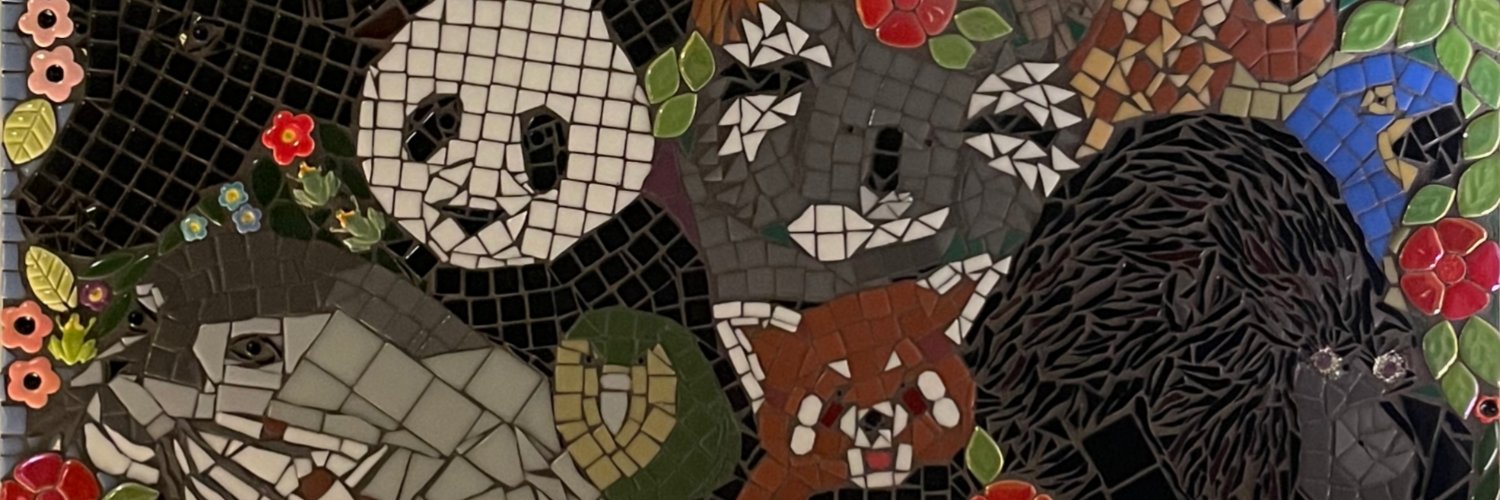 RobinBrownfield's profile banner image
