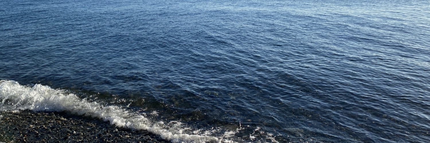 the og tonia 💞 ✨🦄 banner