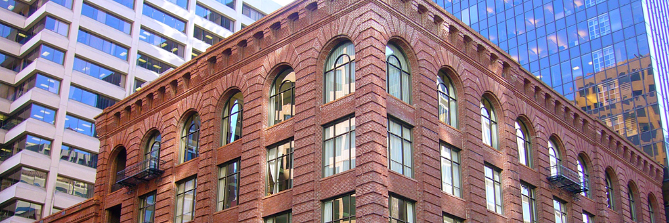 USF Management banner