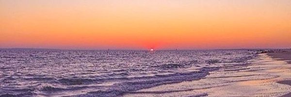 ArianaProehl Profile Banner