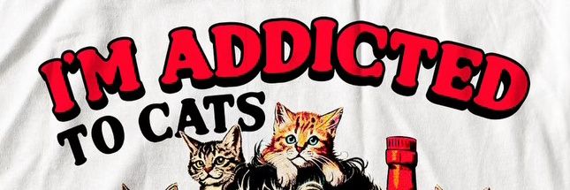 asatoland's profile banner image