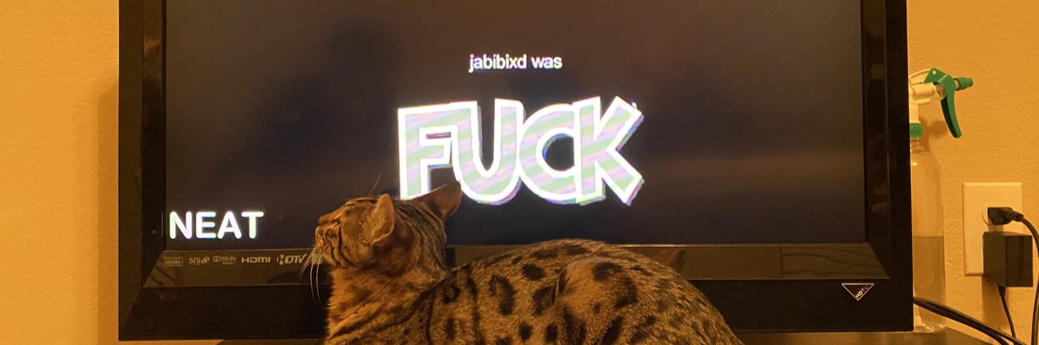 capnbellaaa's profile banner image