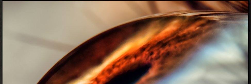 Ixtinct's profile banner image