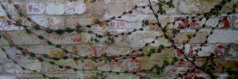 Della Watson banner