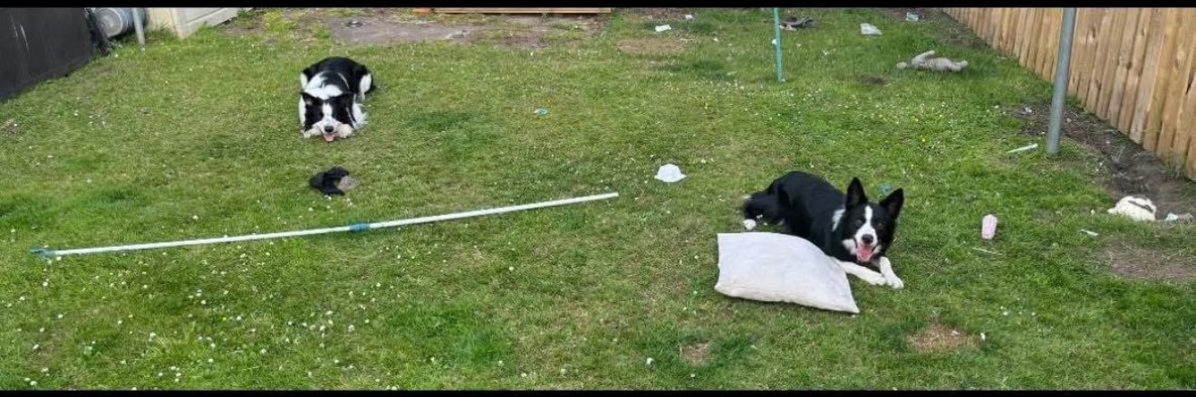 ste 🏴󠁧󠁢󠁳󠁣󠁴󠁿 banner