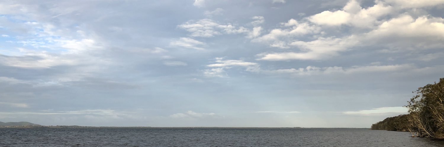 jodivial's profile banner image