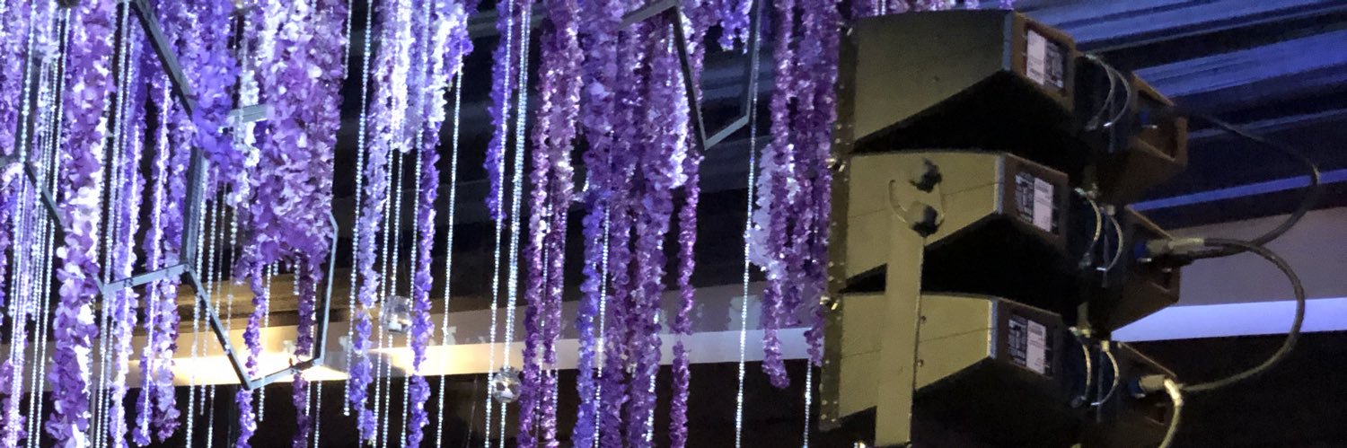 Emanuelle Galluzzi banner