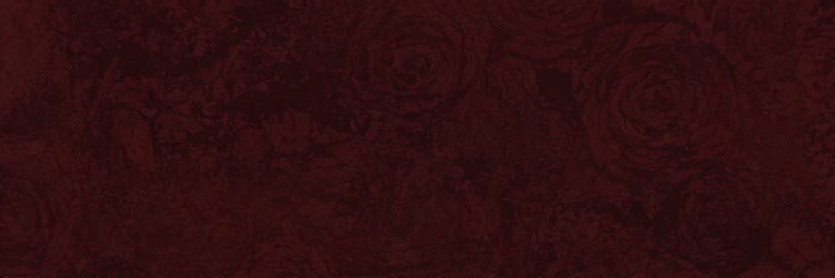 kinoumoto's profile banner image
