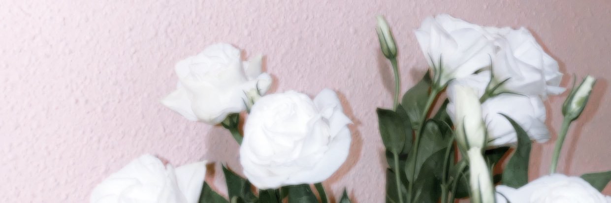 alwiyah_'s profile banner image