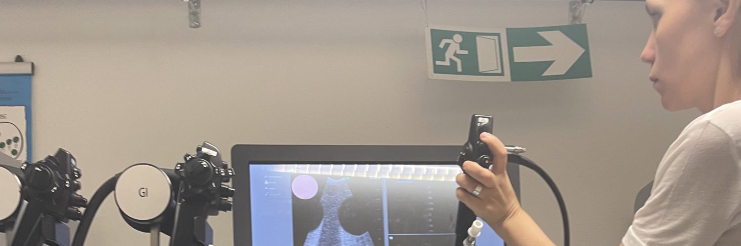 Amanda Dandanell Juul banner