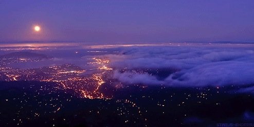 notsobasicblond's profile banner image